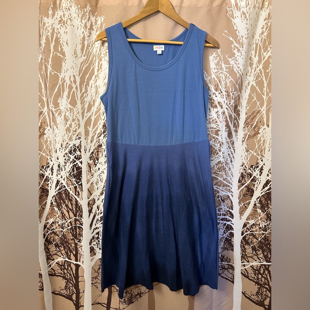 LuLaRoe XL Summer Blue Ombre Dress